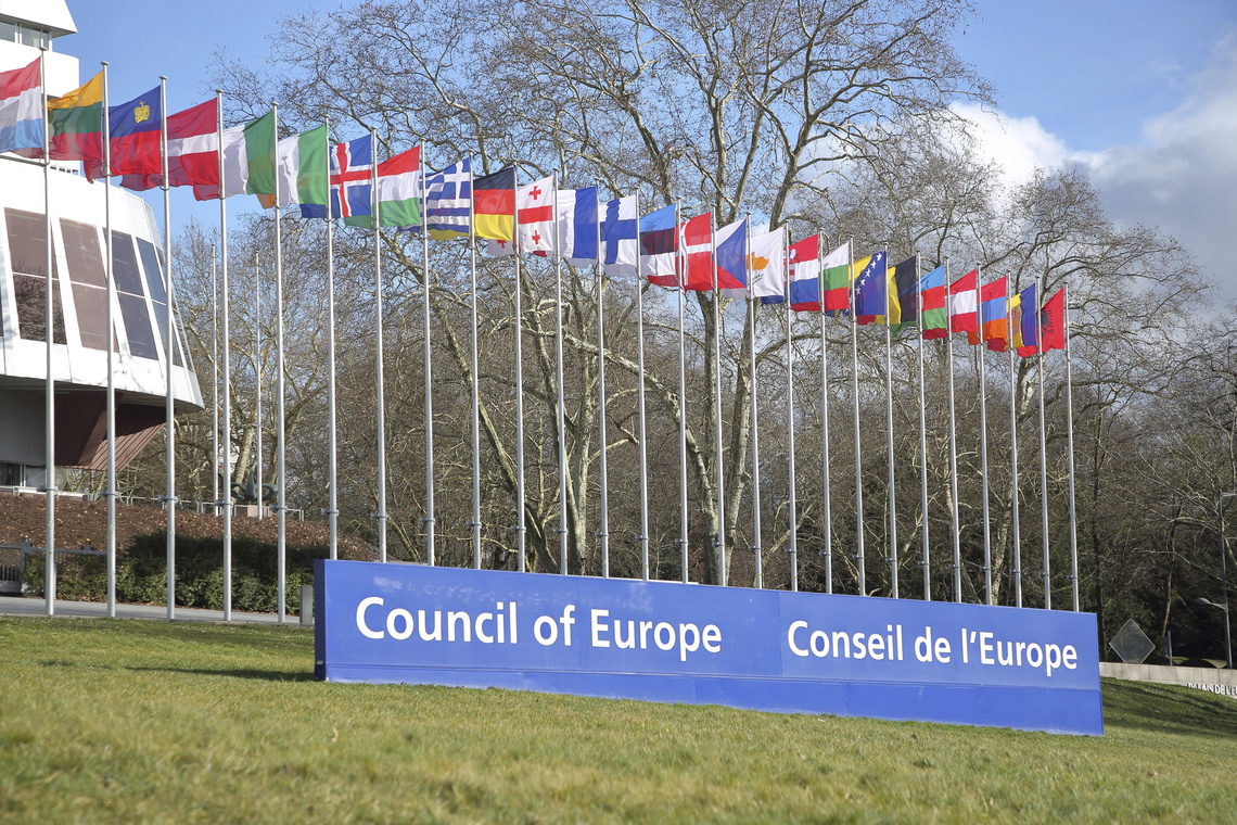 Verschiedene europäische Flaggen vor Europarat